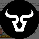 Telegram profile photo for BULL RUNNERS