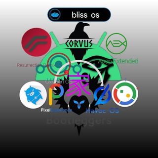 Telegram group profile photo for Discussion of ROMS