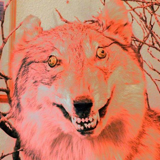 Telegram profile photo for волгоёб rust