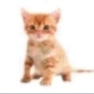 Telegram profile photo for Пропаганда эвтаназии