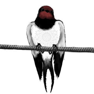 Telegram profile photo for Ласточки на ЛЭП