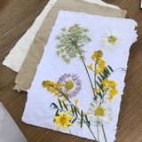 Telegram profile photo for Florapaper. Бумага из растений и макулатуры