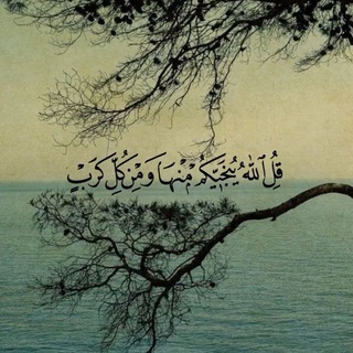 Telegram profile photo for تِـجارةً لَـن تَـبُور .
