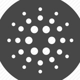 Telegram profile photo for Cardano Report