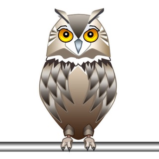Telegram group profile photo for Петах Тиква по-русски - Город Петах Тиква - עיר פתח תקווה