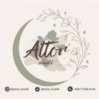 Telegram profile photo for Attor / mushk