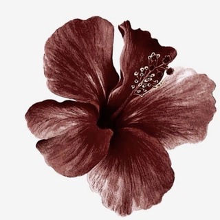 Telegram profile photo for premium apps, neng floe ᡣ𐭩