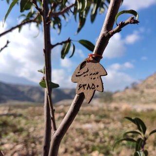 Telegram profile photo for روستاگل