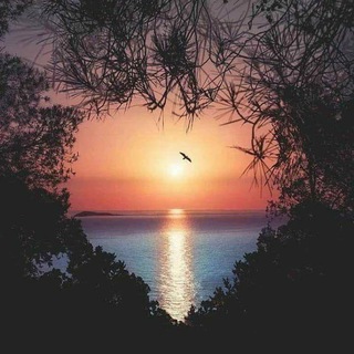 Telegram profile photo for Видео, цитаты о любви 💘