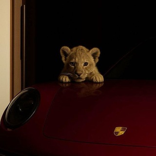 Telegram profile photo for هَاجسّ