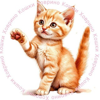 Telegram profile photo for ХОВРИНО КОШКИ 🐈