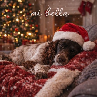 Telegram profile photo for 𝓶𝓲 𝓫𝓮𝓵𝓵𝓪🎄