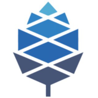 Telegram group profile photo for PINE64 General Chat
