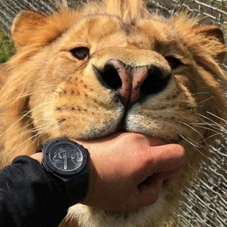 Telegram profile photo for π Ίκ―π»πΌππΈπππ_7777π Ίκ―