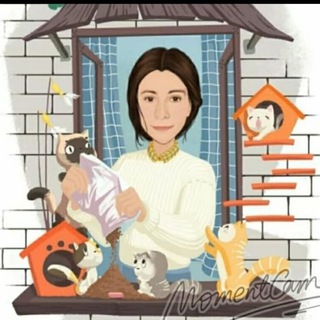 Telegram profile photo for Кошачьи истории