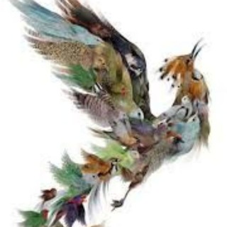Telegram profile photo for کانال عطارنیشابوری ذخیره گروه سیمرغ