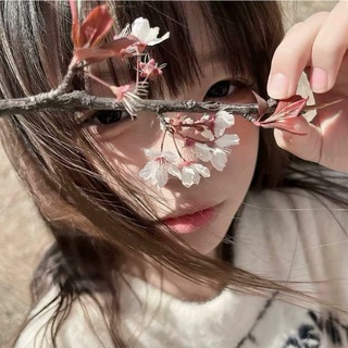 Telegram profile photo for 鋭の中转站