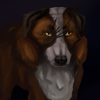 Telegram profile photo for Тайлесс