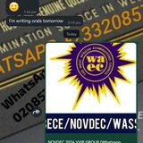 Telegram profile photo for NOVDEC 2026