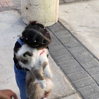Telegram profile photo for أُلفة