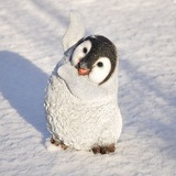 Telegram profile photo for pinguin