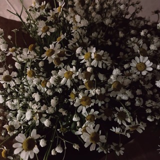 Telegram profile photo for переходник TrroCf