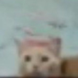 Telegram profile photo for rpncl