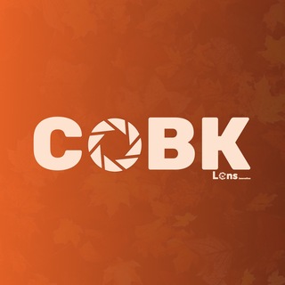 Telegram profile photo for СОВК