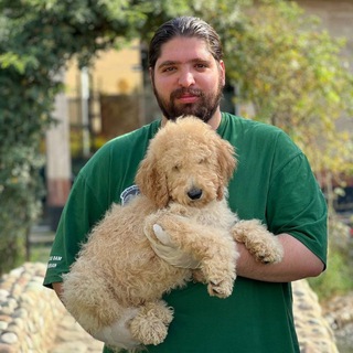 Telegram profile photo for ✨توله های مجموعه_متین نزاکتی✨