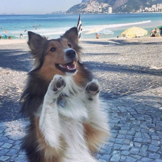 Telegram profile photo for Лесева калабаня 🌨️