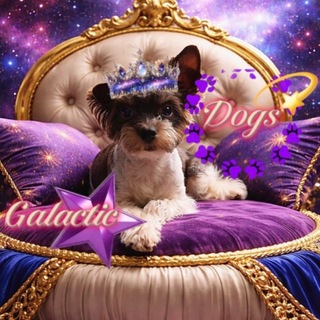 Telegram profile photo for Закрыты😔 причин не объясняю, тоже самое что с кристальными..)
