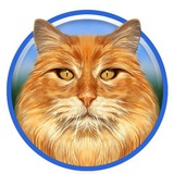 Telegram profile photo for Ragdoll Cat NFT