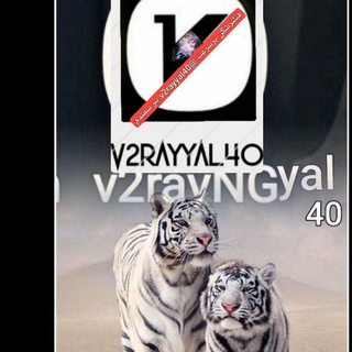 Telegram profile photo for فیلترشکن پرسرعت @v2rayyal40 ببر سفیدم