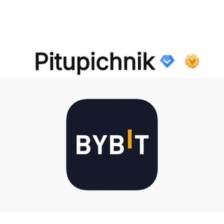 Telegram profile photo for 🔹Bybit | Pitupichnik