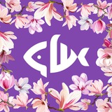 Telegram profile photo for Суши Шеф | Волгодонск | Доставка пиццы, роллов