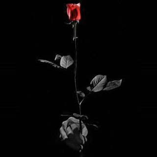 Telegram profile photo for مٌقًܔهى الُشﮩعرَ🇾🇪