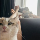 Telegram profile photo for Аськины записки