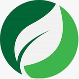 Telegram profile photo for فرصتی دیگر