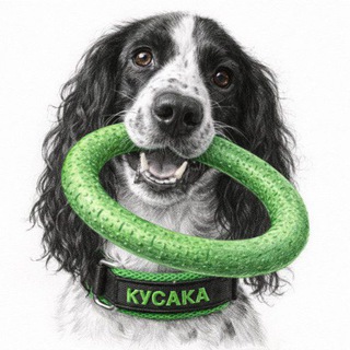 Telegram profile photo for ПЕРЕШЛИ
