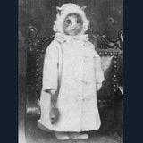 Telegram profile photo for радио Гертье