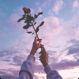 Telegram profile photo for 𝑋𝑎𝑟𝑒𝑏𝑚🥀✍🏻..