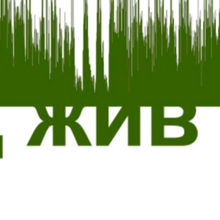 Telegram profile photo for Перевод жив