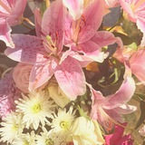 Telegram profile photo for floral