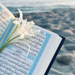 Telegram profile photo for tawhid al ansar