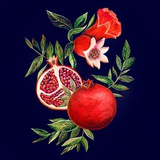 Telegram profile photo for ГРАНАТ | Студия вкуса жизни ♥️