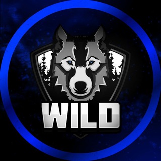 Telegram profile photo for WILD TDM