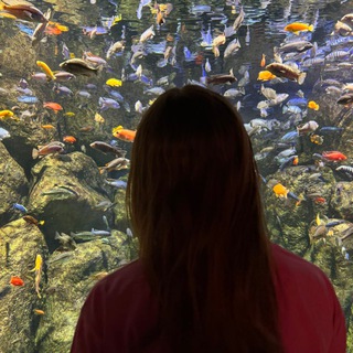 Telegram profile photo for рыбка в озере🐠