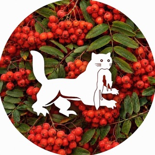 Telegram profile photo for Город Иркутск