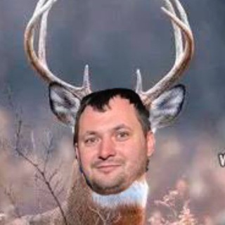 Telegram profile photo for Мемы тучково