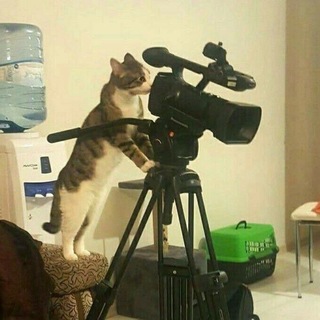 Telegram profile photo for Санечка, снимаешь?